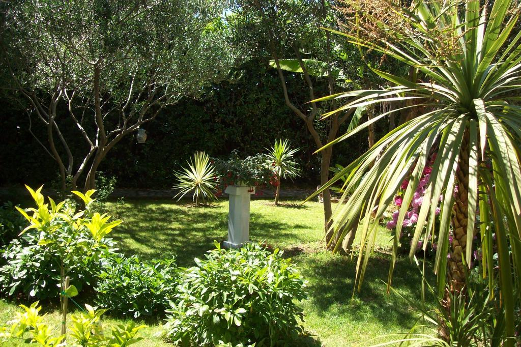 Apartments Rozic راب المظهر الخارجي الصورة