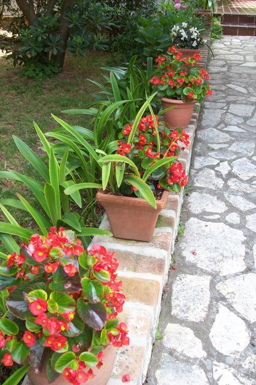 Apartments Rozic راب المظهر الخارجي الصورة